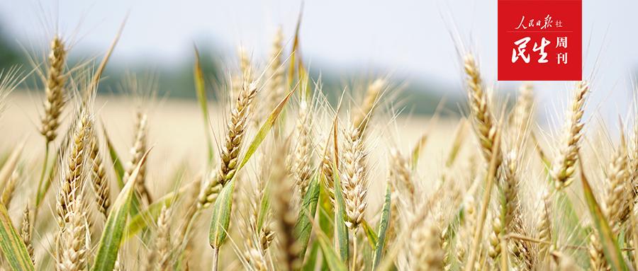 农产品_农产品批发采购平台_农产品检测